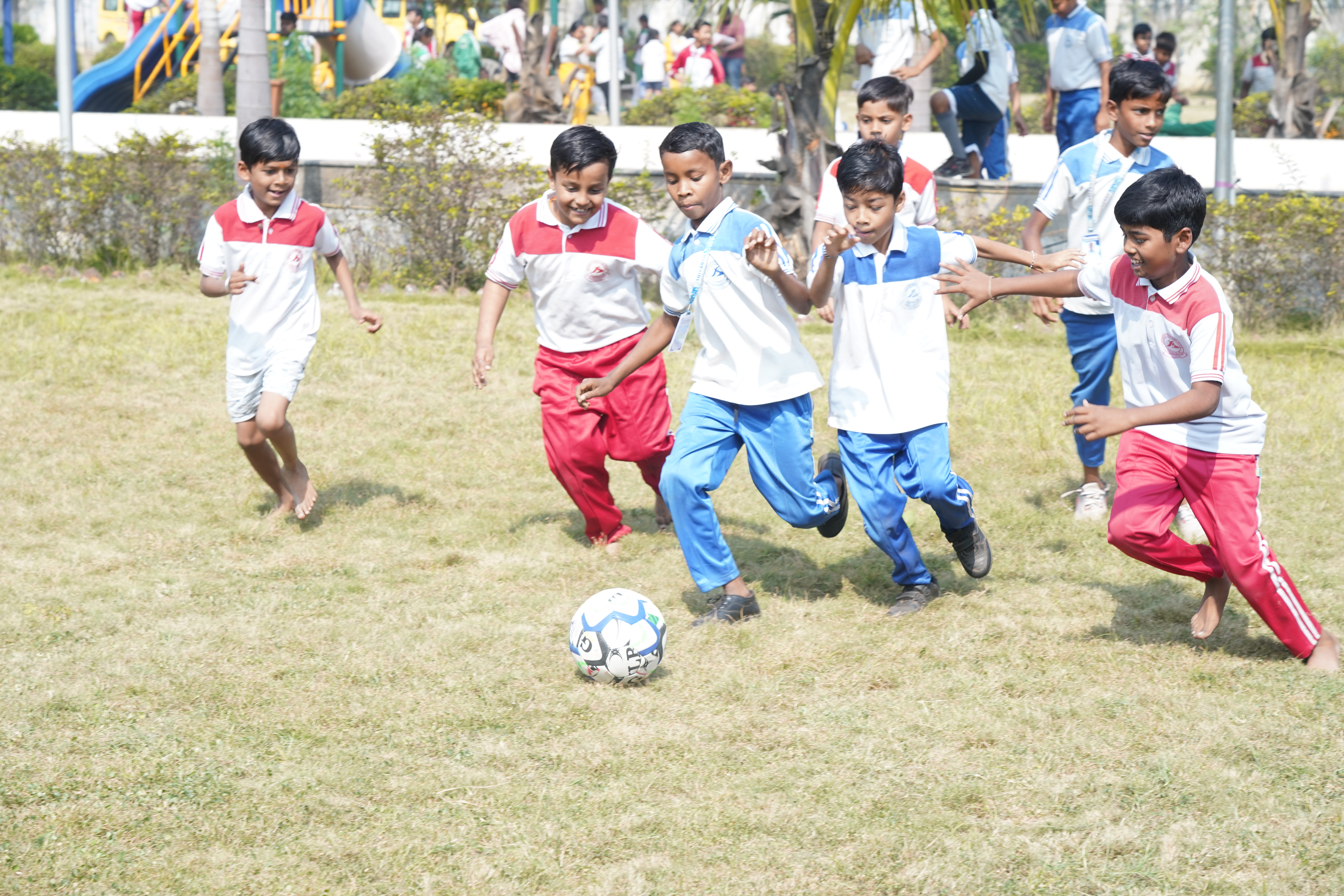 Shivansh International School, Dharsiwa 